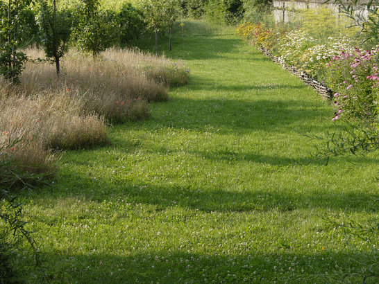 Vigna in Trentino (18)